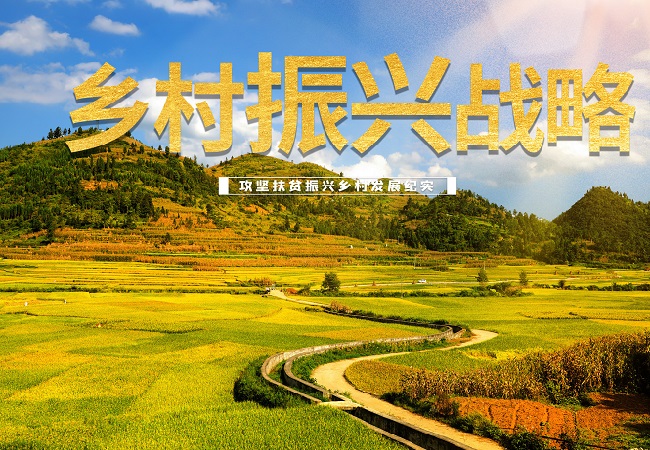 政策解讀：2023年數字鄉(xiāng)村發(fā)展工作要點